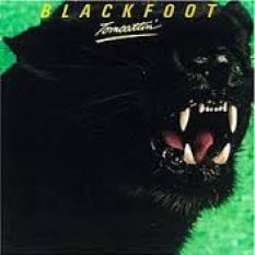 blackfoot tomcattin
